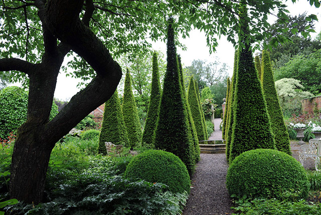 Красивый сад своими руками ландшафтный дизайн (67 фото)